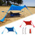 dAzOF Family Beach Tent